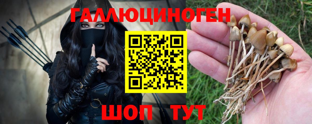 Псилоцибиновые грибы Magic Shrooms  Вход с VPN  Серов  Галлюциногенные грибы GOLDEN TEACHER 
